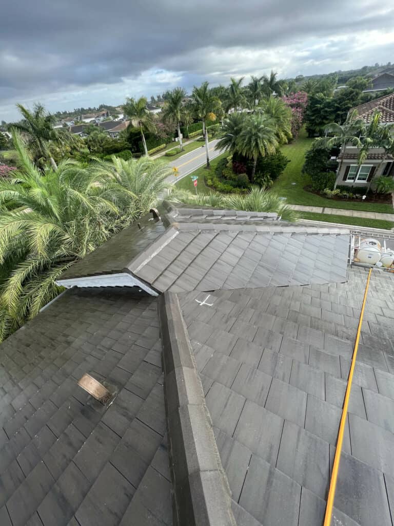 top view of cleaned roofs in Florida