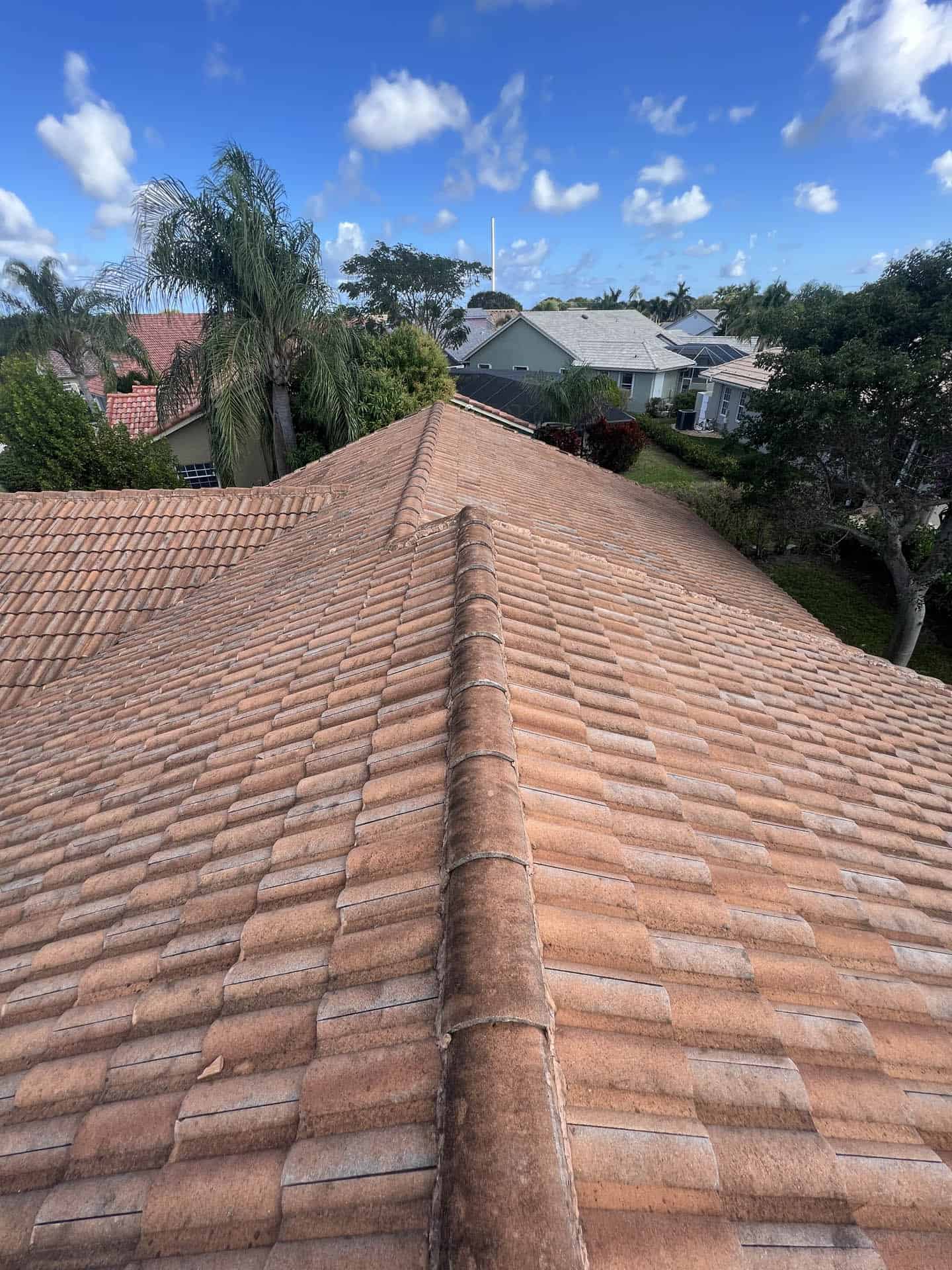 Soft wash roof cleaning Palm Beach County Florida