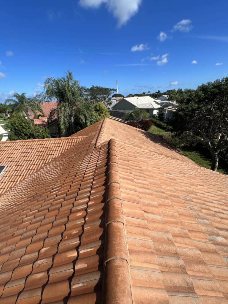 Cle Tile Roof Soft Washing In Palm beach county